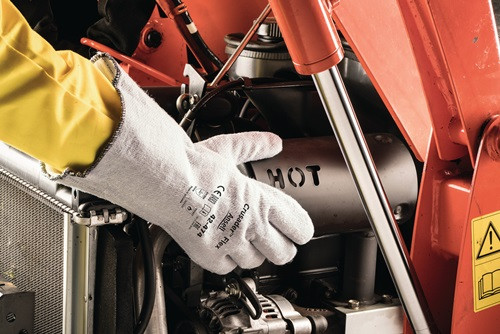 Artikelbild