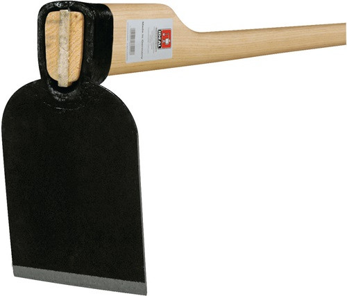 Artikelbild